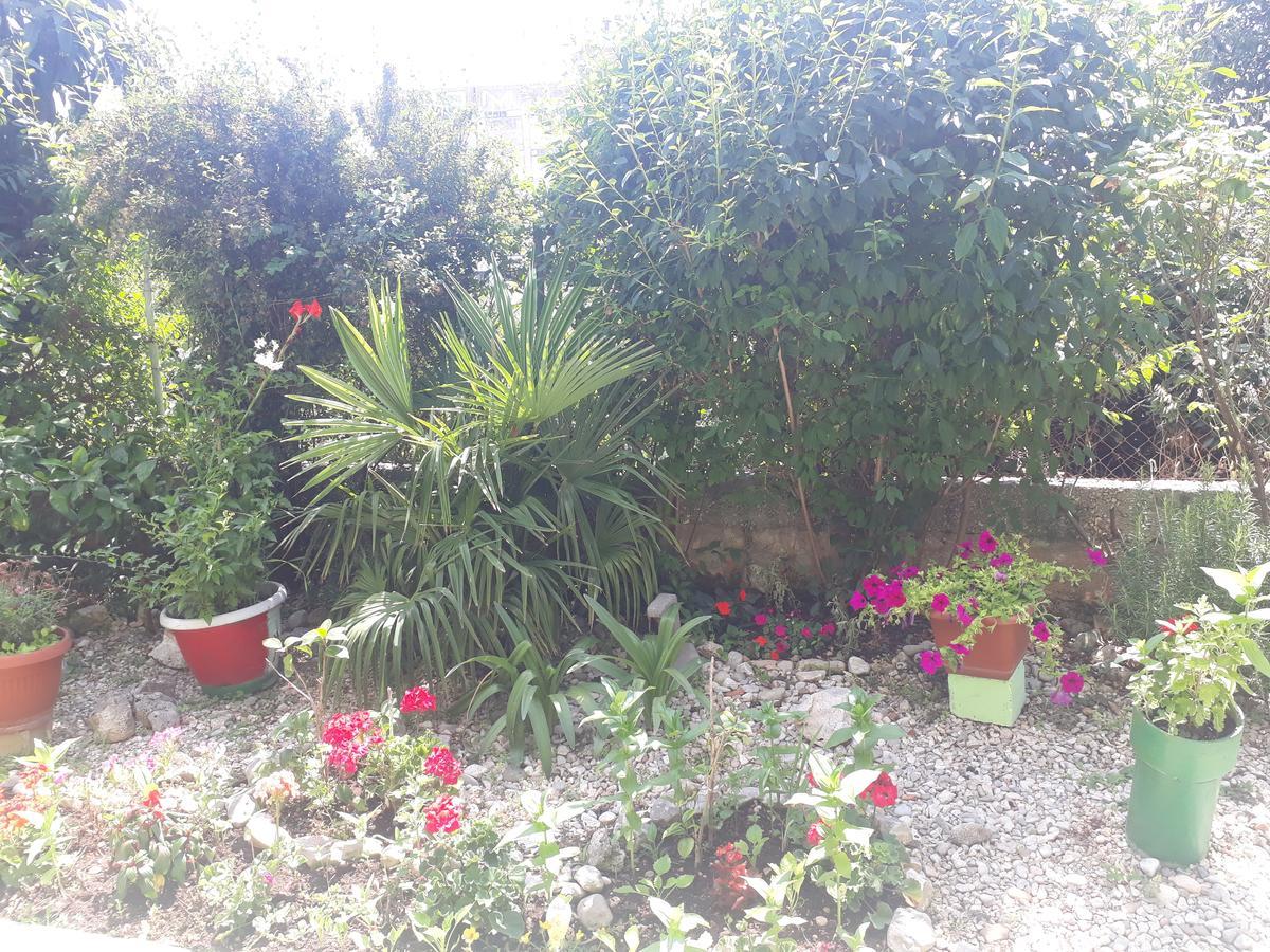 זאדאר Green Hostel מראה חיצוני תמונה