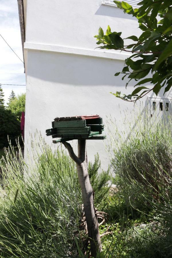 זאדאר Green Hostel מראה חיצוני תמונה