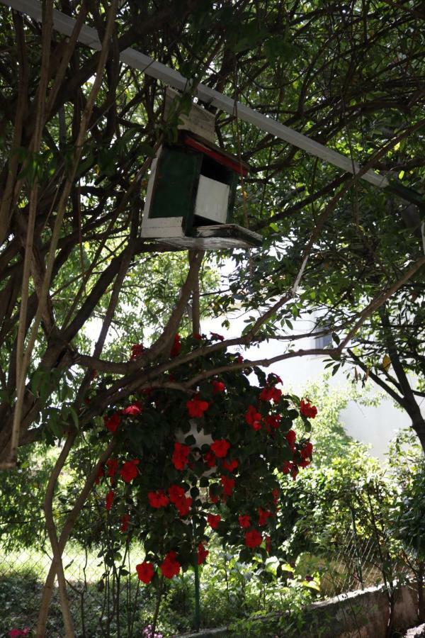 זאדאר Green Hostel מראה חיצוני תמונה