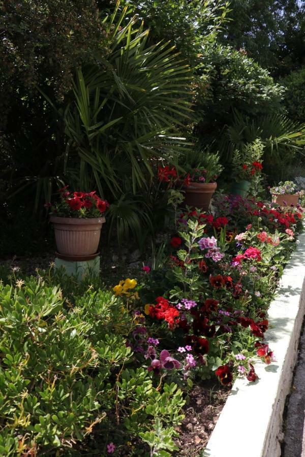 זאדאר Green Hostel מראה חיצוני תמונה
